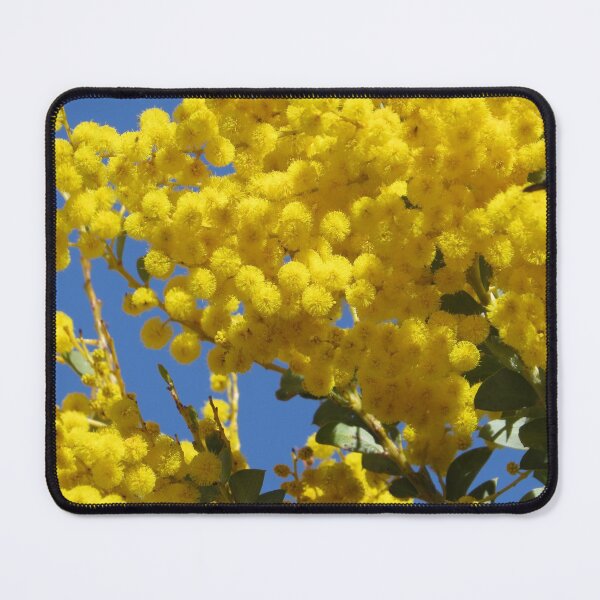 Item preview, Golden Yellow Wattle designed and sold by Honey Myrtle Studio.