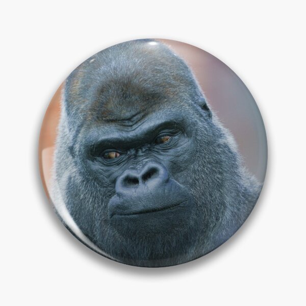 Item preview, Silverback Gorilla's Side Look designed and sold by rawshutterbug.