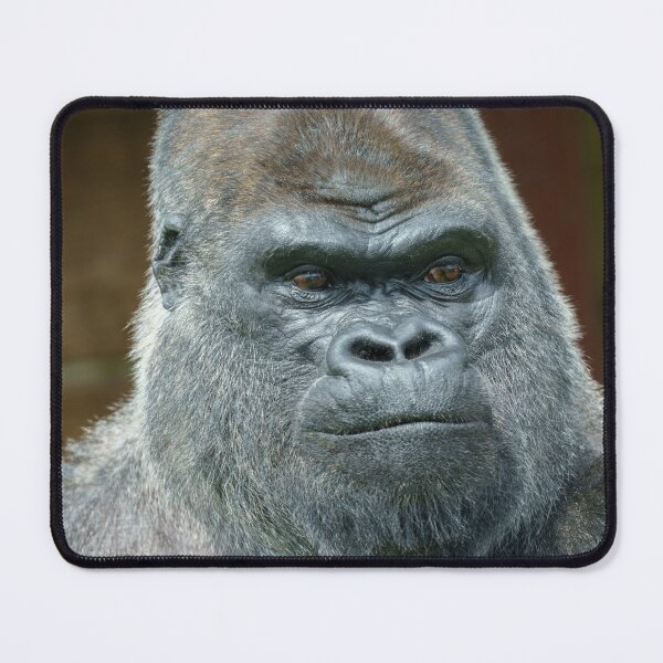 Item preview, The Handsome Silverback designed and sold by rawshutterbug.