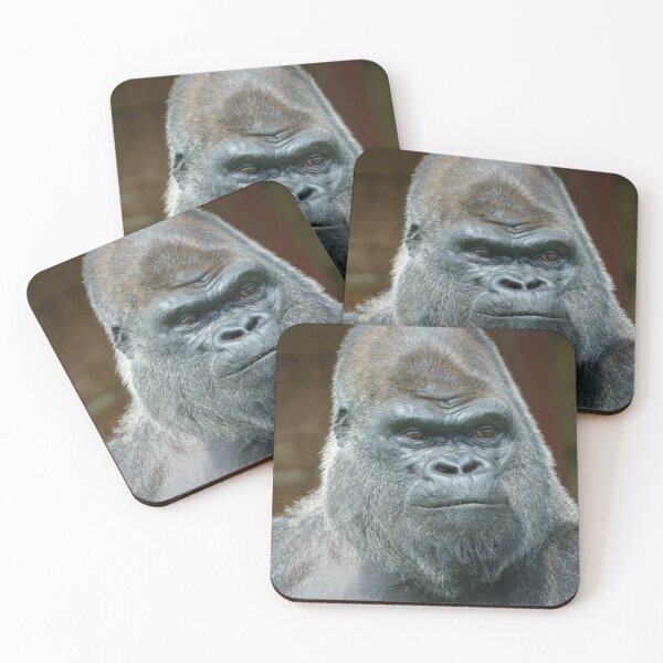 Item preview, The Handsome Silverback designed and sold by rawshutterbug.