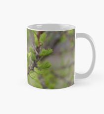 Larch Mug