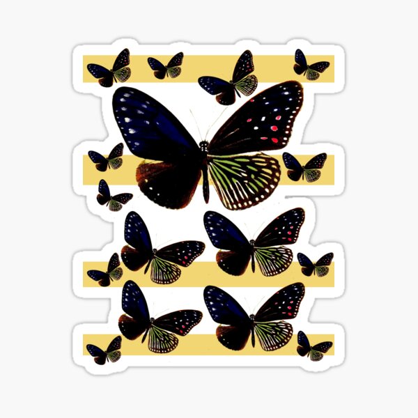 The butterflies of the West Coast 1905 Sticker