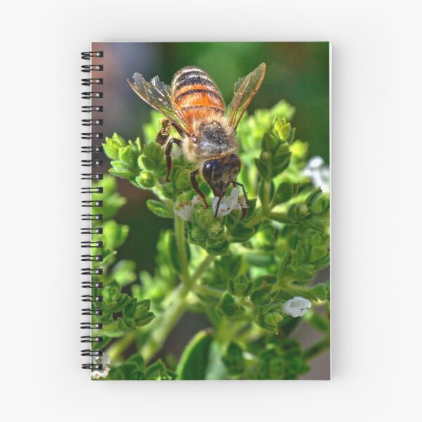 Item preview, bee in the Oregano flowers designed and sold by BigAndRed.