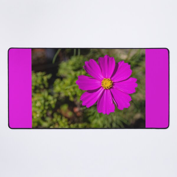Item preview, Garden cosmos or Mexican aster #2 designed and sold by Lyl Dil Creations.