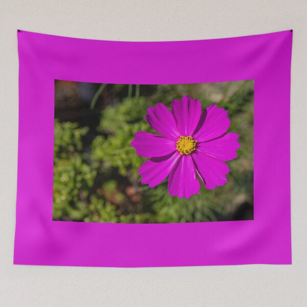 Item preview, Garden cosmos or Mexican aster #2 designed and sold by Lyl Dil Creations.