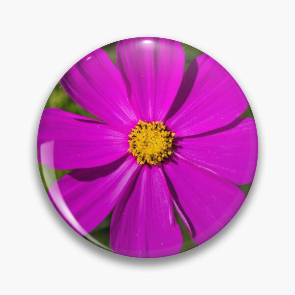 Item preview, Garden cosmos or Mexican aster #2 designed and sold by Lyl Dil Creations.