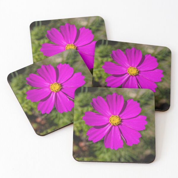 Item preview, Garden cosmos or Mexican aster #2 designed and sold by Lyl Dil Creations.