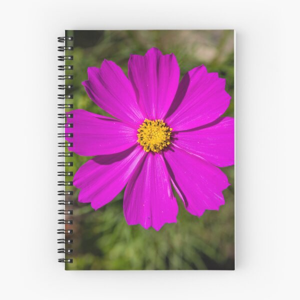 Item preview, Garden cosmos or Mexican aster #2 designed and sold by Lyl Dil Creations.