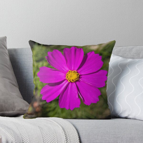 Item preview, Garden cosmos or Mexican aster #2 designed and sold by Lyl Dil Creations.