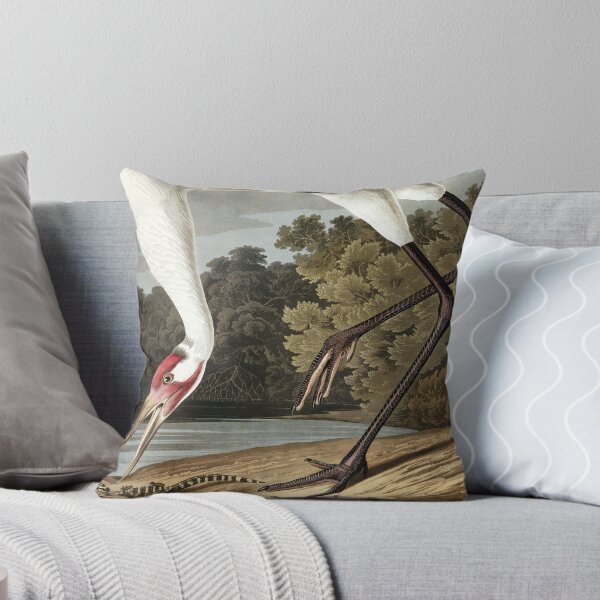 Item preview, Whooping Crane - John James Audubon designed and sold by billythekidtees.