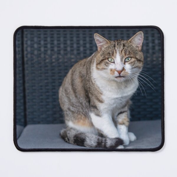 Item preview, Romeo designed and sold by Fairly Placid.