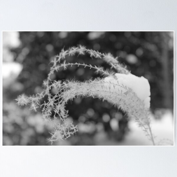 Item preview, Snowy Wisp designed and sold by ryanmsorel.