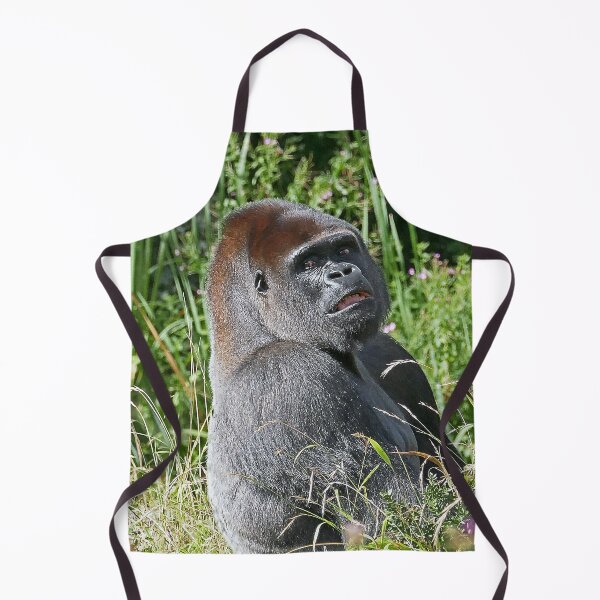 Item preview, r802/ New finition 2021: Un gorille " Dos Argenté " (10 c) (h) qui est la star du jour .... par Okaio Créations - Olavia&Olao designed and sold by o.okaïo.