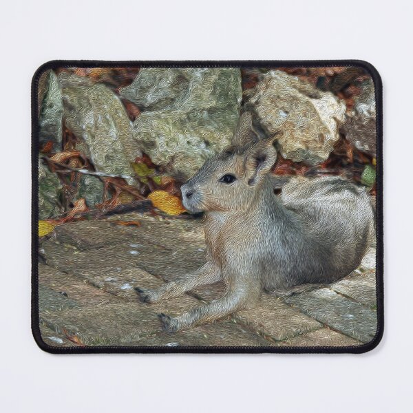 Item preview, Caribbean Wild Hare designed and sold by XCEEDTRANSITION.