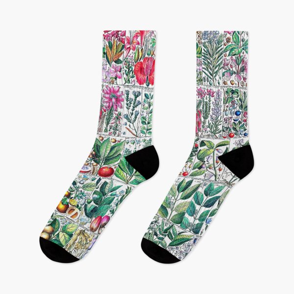 Item preview, Floral design - scientific illustration designed and sold by RPGHaven.
