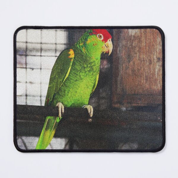 Item preview, Green and Red Budgie designed and sold by XCEEDTRANSITION.