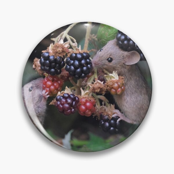 Item preview, The blackberry mice designed and sold by Gez Robinson.