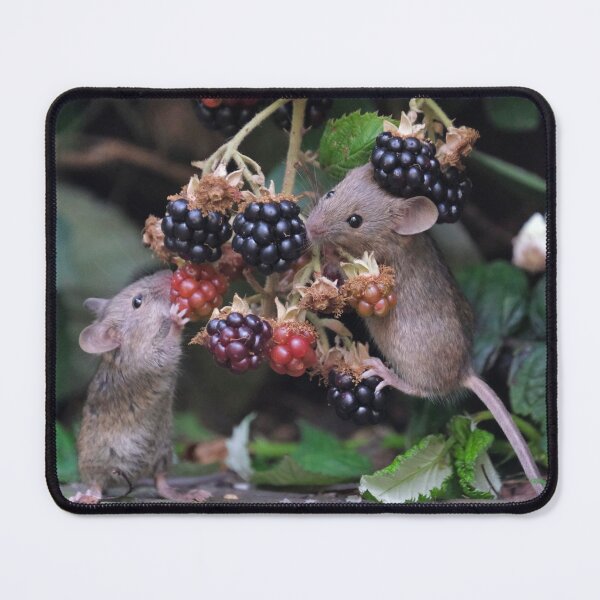 Item preview, The blackberry mice designed and sold by Gez Robinson.