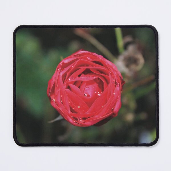 Item preview, ROSE designed and sold by XCEEDTRANSITION.