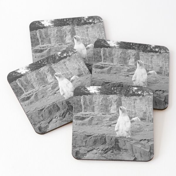 Item preview, Polar bears at Glassgow Zoo designed and sold by Night-parade.