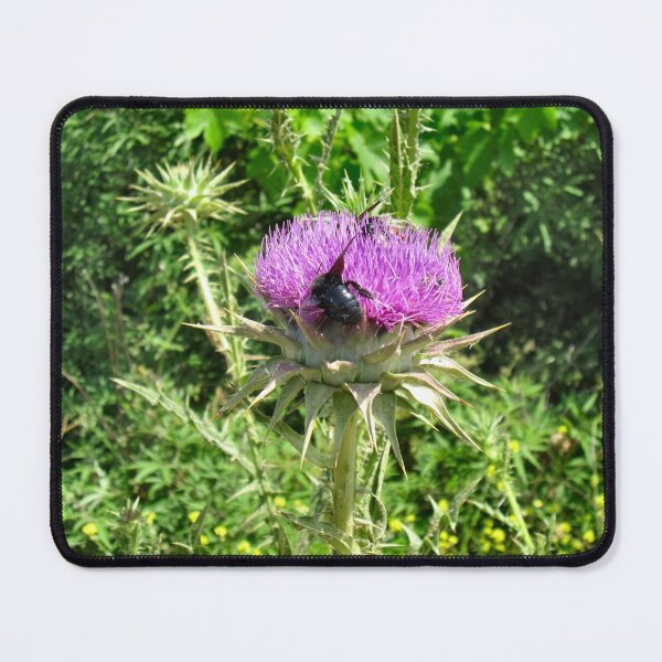 Item preview, OUCH !!! designed and sold by ronsaunders47.
