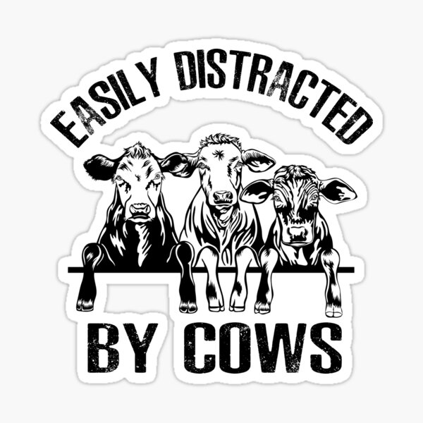 Easily Distracted By Cows Cow Lover T Sticker For Sale By I Longmanshop Redbubble 