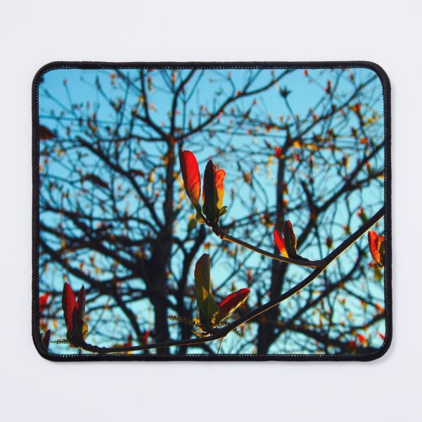 Item preview, Leaves designed and sold by XCEEDTRANSITION.