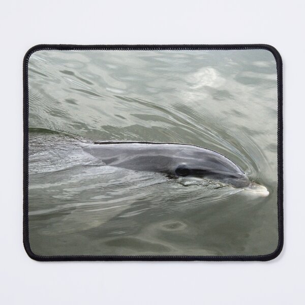 Item preview, Dolphin Sailing designed and sold by XCEEDTRANSITION.
