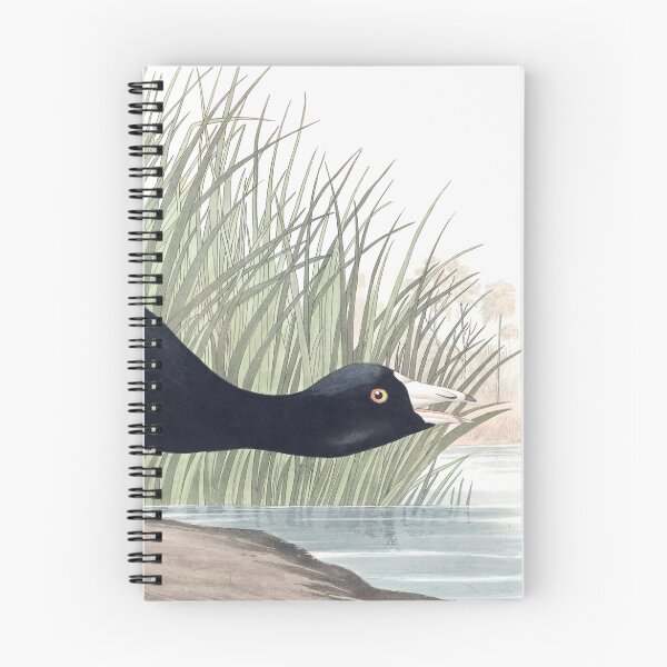 Item preview, American Coot - John James Audubon designed and sold by billythekidtees.