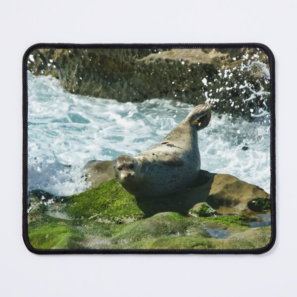 Item preview, La Jolla California Surprised Seal designed and sold by Georgia Mizuleva.