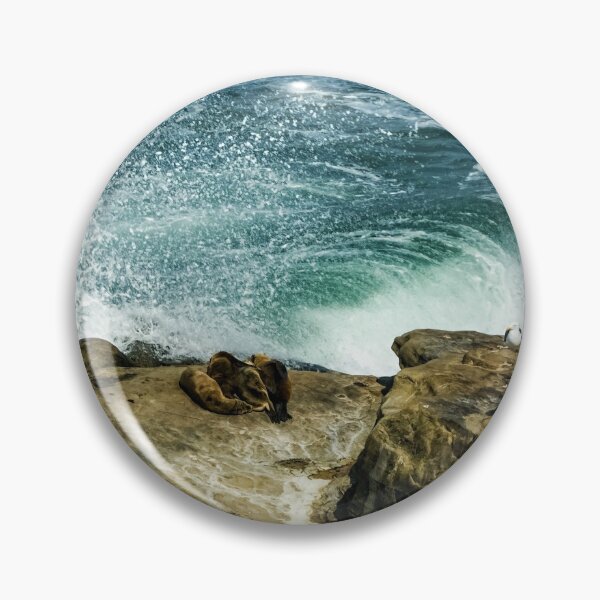 Item preview, La Jolla California Mini Seal Rookery designed and sold by Georgia Mizuleva.
