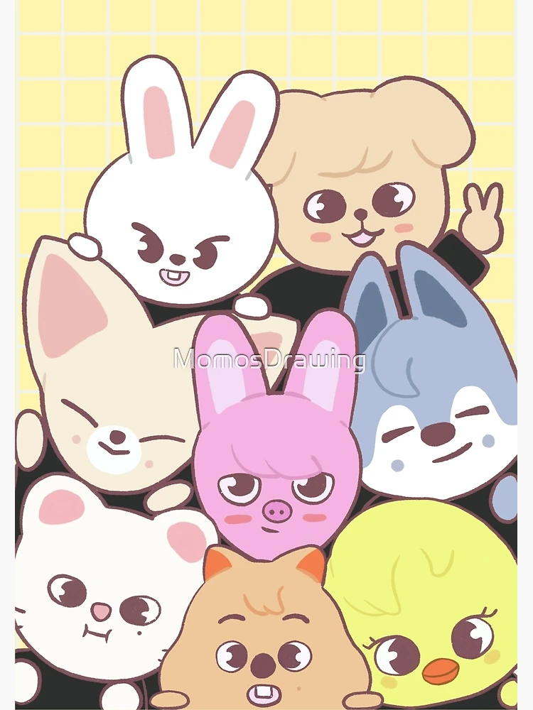 Stray kids - skzoo