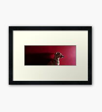 Isabella .2 Framed Print