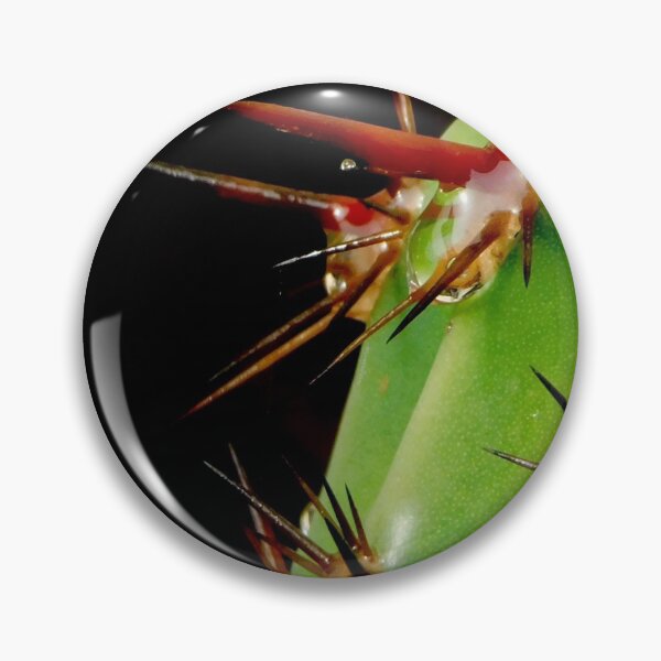 Item preview, After the rain Cactus~Macro Photo designed and sold by ArtbyMparrish .