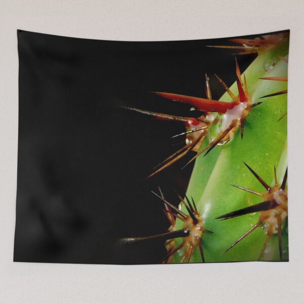 Item preview, After the rain Cactus~Macro Photo designed and sold by ArtbyMparrish .