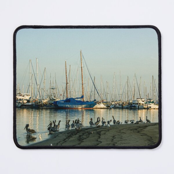 Item preview, Santa Barbara California Brown Pelican Marina designed and sold by Georgia Mizuleva.