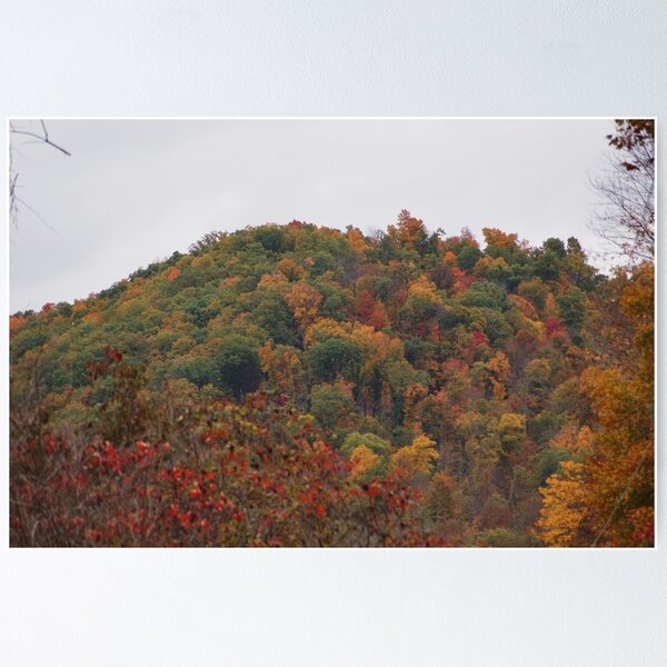 Item preview, Big Otter, West Virginia designed and sold by paulboggs.