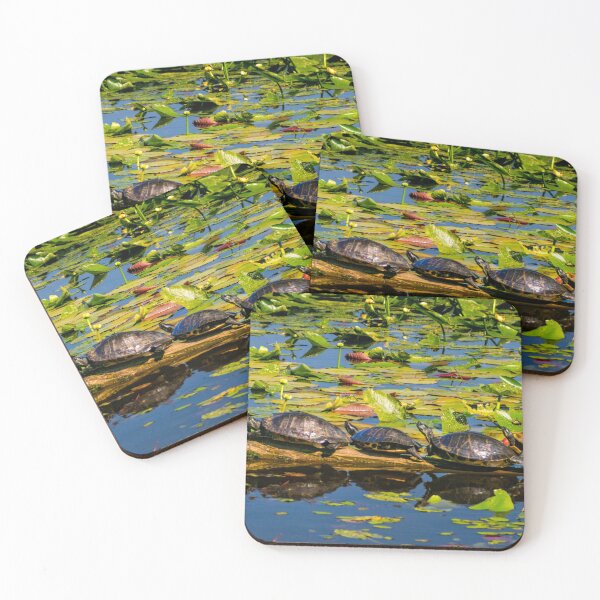 Item preview, Turtle Row Spa designed and sold by nbrandsberg.