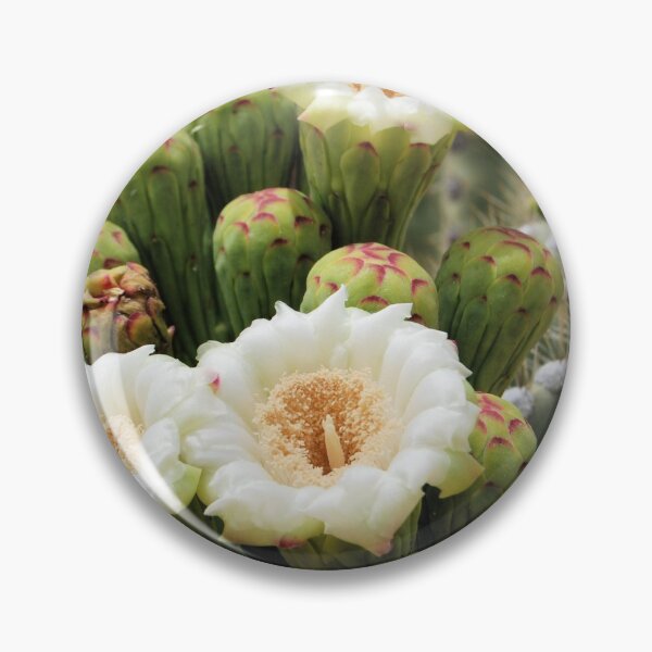 Item preview, Just Open Saguaro Flowers designed and sold by Kathleen Brant.