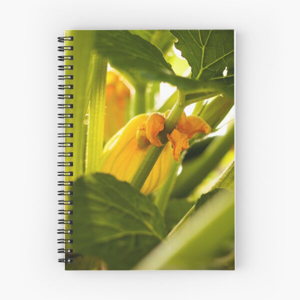Item preview, Zucchini Blossom Photography Print designed and sold by griffingphoto.