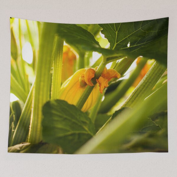 Item preview, Zucchini Blossom Photography Print designed and sold by griffingphoto.