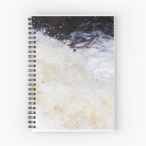 Item preview, Copy of Atlantic salmon leaping designed and sold by chanonry.