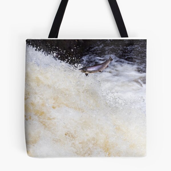 Item preview, Copy of Atlantic salmon leaping designed and sold by chanonry.