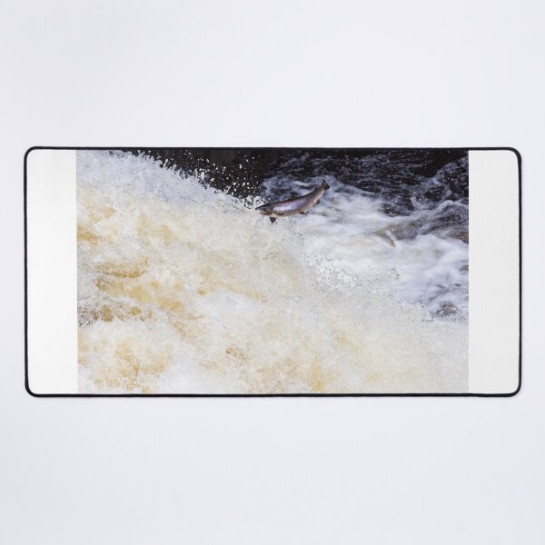 Item preview, Copy of Atlantic salmon leaping designed and sold by chanonry.