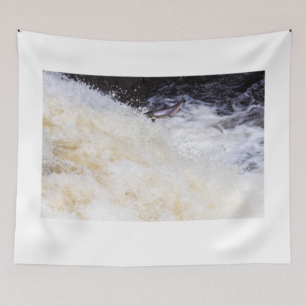 Item preview, Copy of Atlantic salmon leaping designed and sold by chanonry.