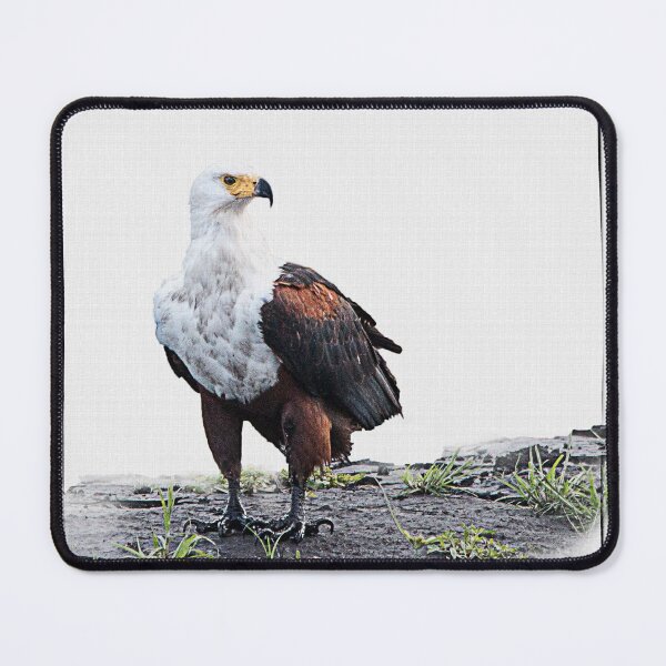 Item preview, African Fish Eagle Bird designed and sold by RonelBroderick.