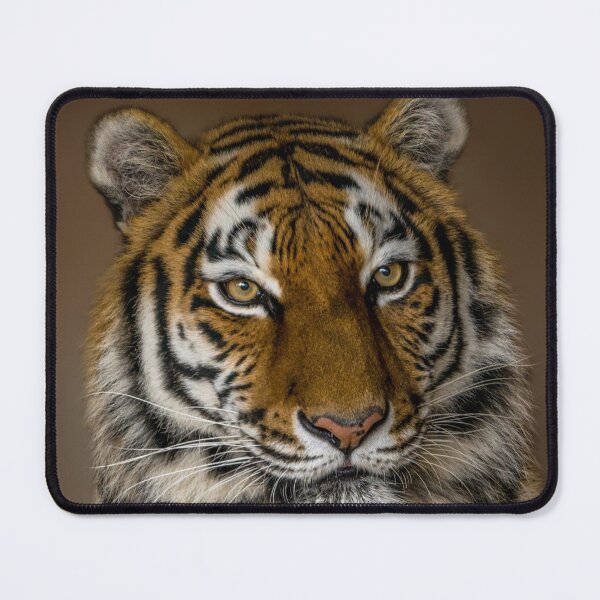 Item preview, Tiger Profile designed and sold by rawshutterbug.