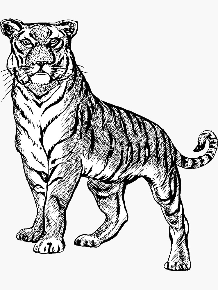 Tiger Line Art Drawing Black And White Tattoo Art | Tapestry