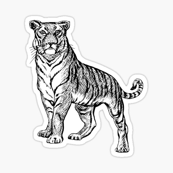 tiger eye clip art black and white