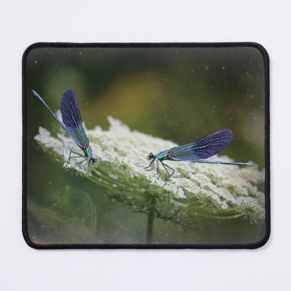Item preview, DRAGONFLY designed and sold by Marie Leblanc.